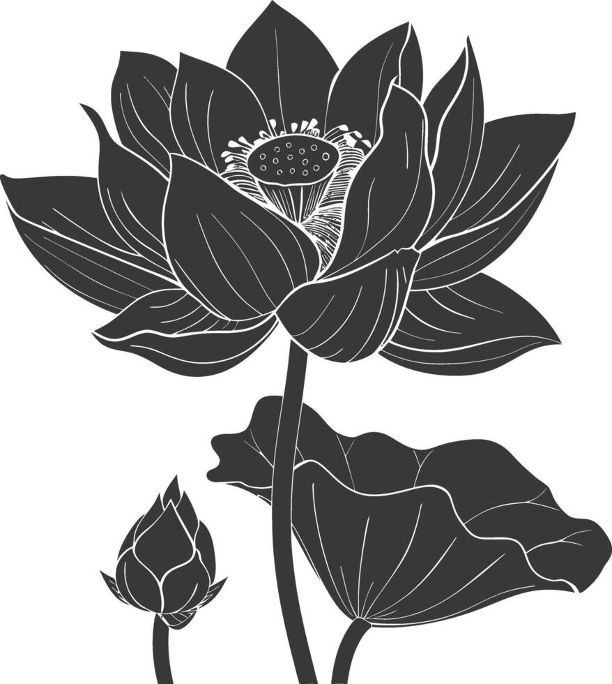 AI generated Silhouette lotus flower black color only vector