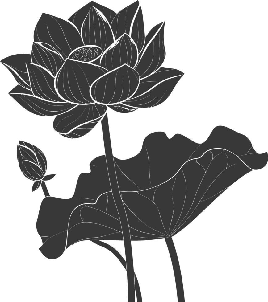 AI generated Silhouette lotus flower black color only vector