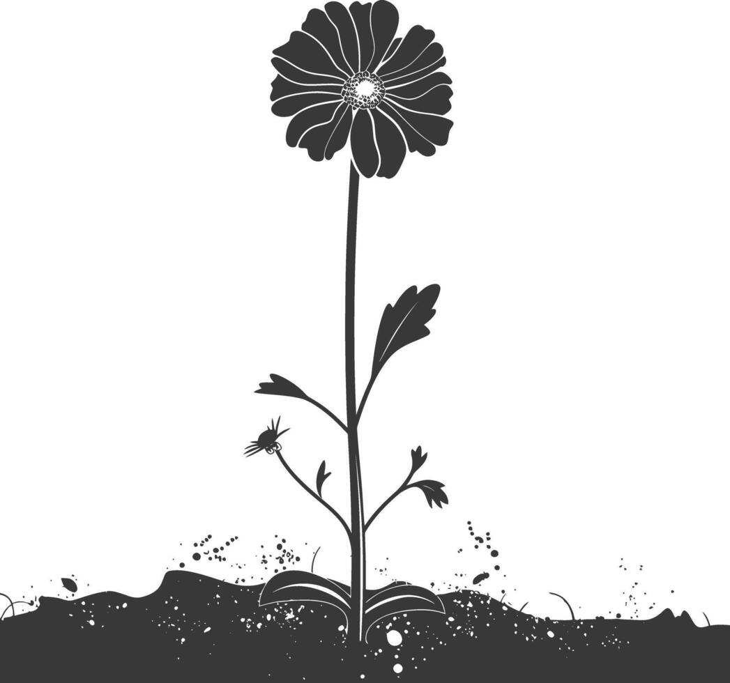 AI generated Silhouette marigold flower in the ground black color only vector