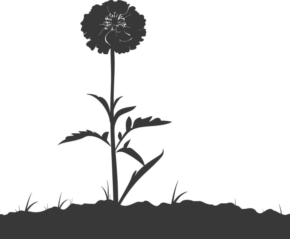 AI generated Silhouette marigold flower in the ground black color only vector