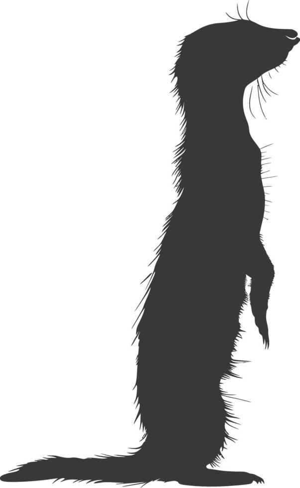 AI generated Silhouette meerkat animal black color only vector