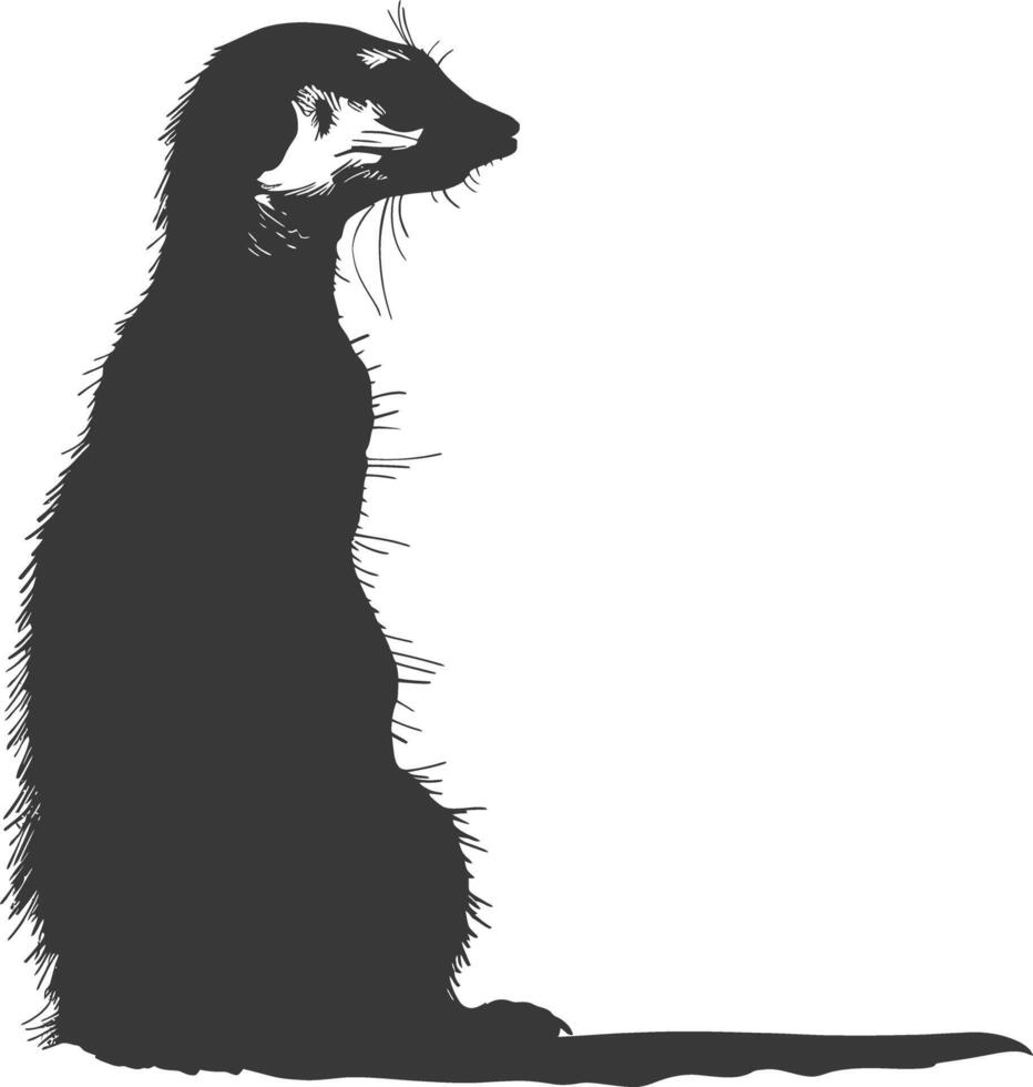 AI generated Silhouette meerkat animal black color only vector