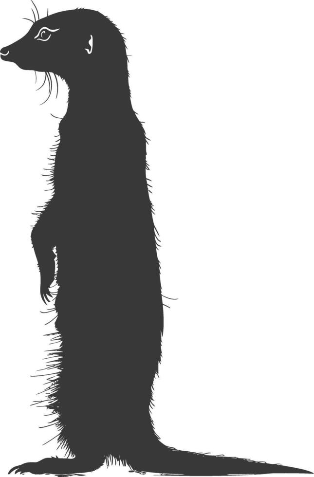AI generated Silhouette meerkat animal black color only vector