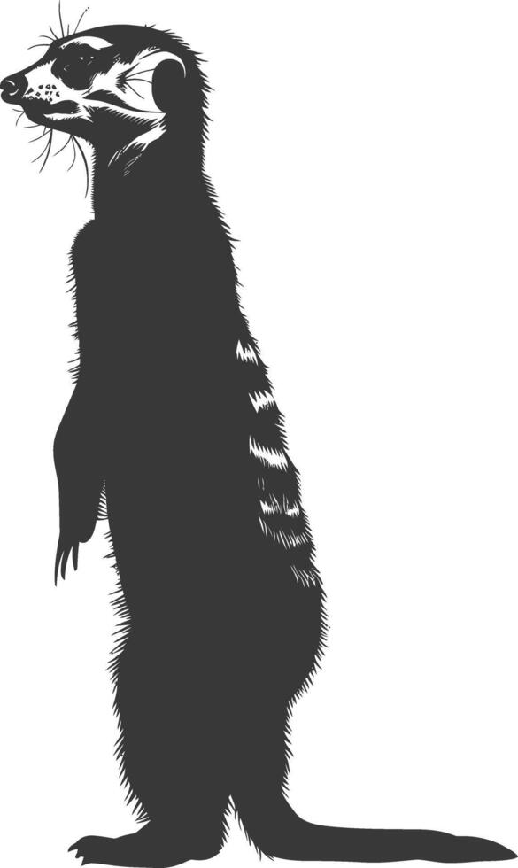 AI generated Silhouette meerkat animal black color only vector