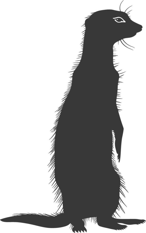 AI generated Silhouette meerkat animal black color only vector