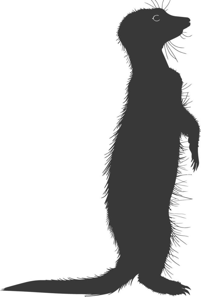 AI generated Silhouette meerkat animal black color only vector