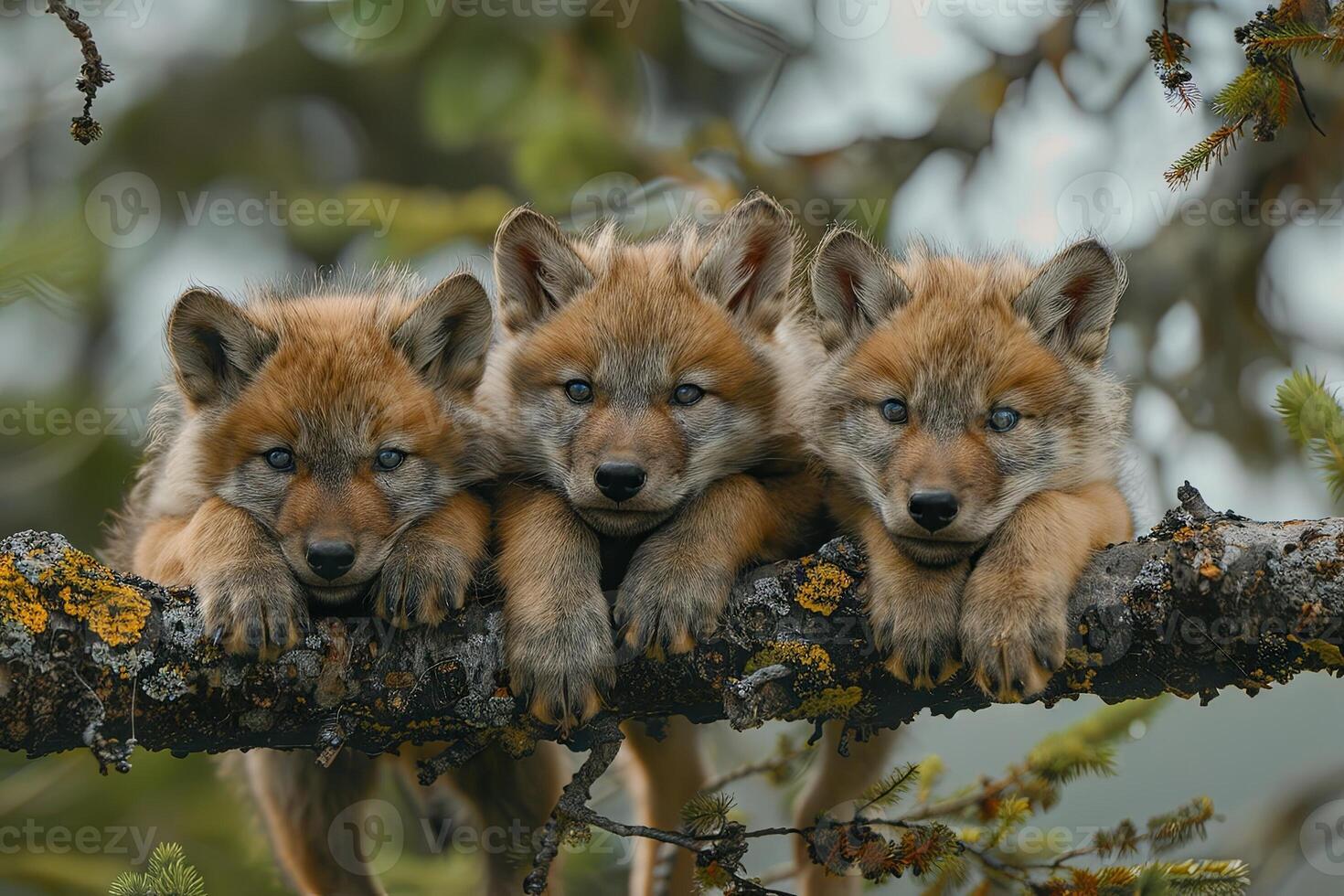 AI generated Wolf Baby group of animals hanging out on a branch, cute, smiling, adorable photo