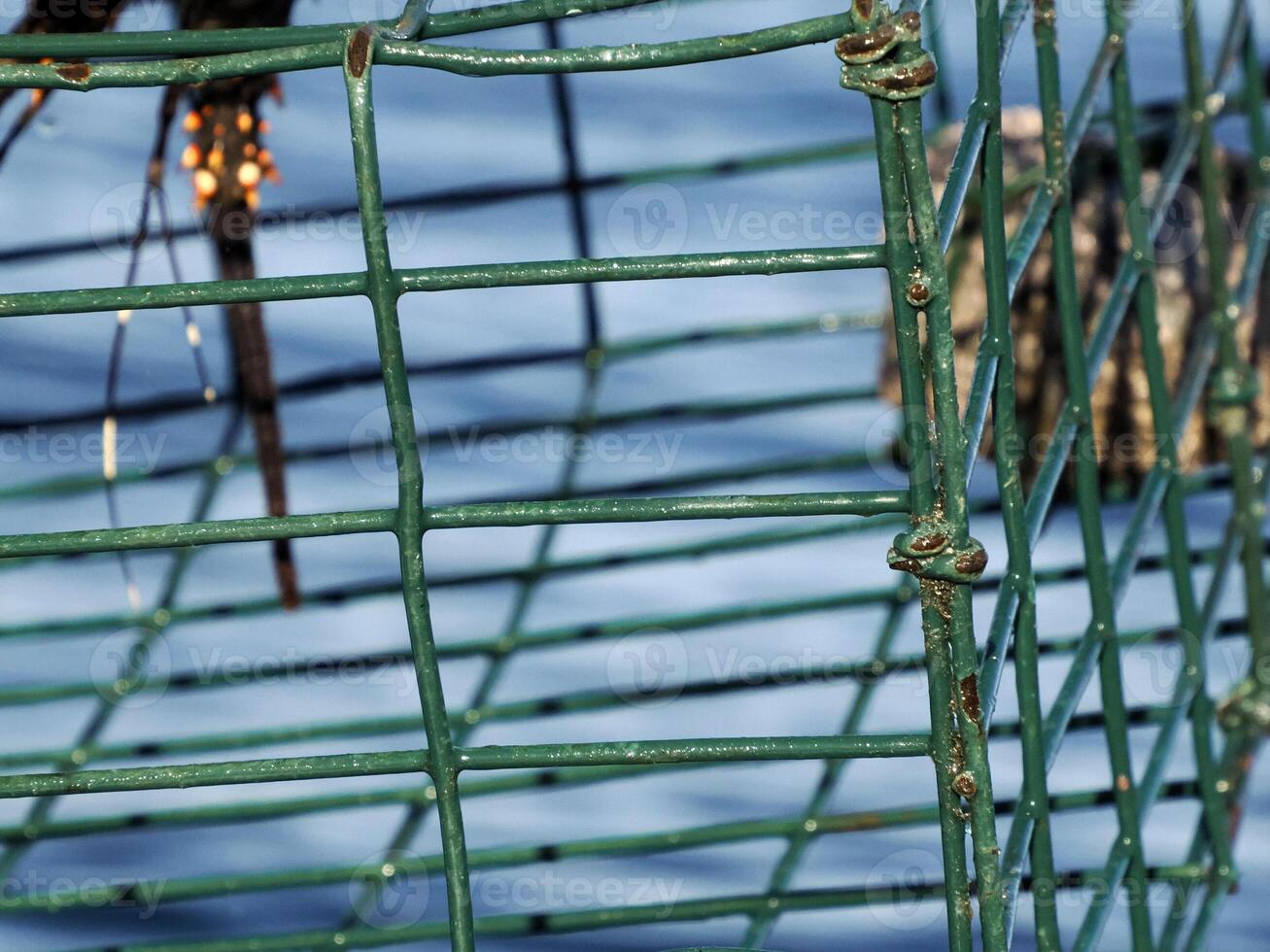 fishing with lobster pot in mexico photo