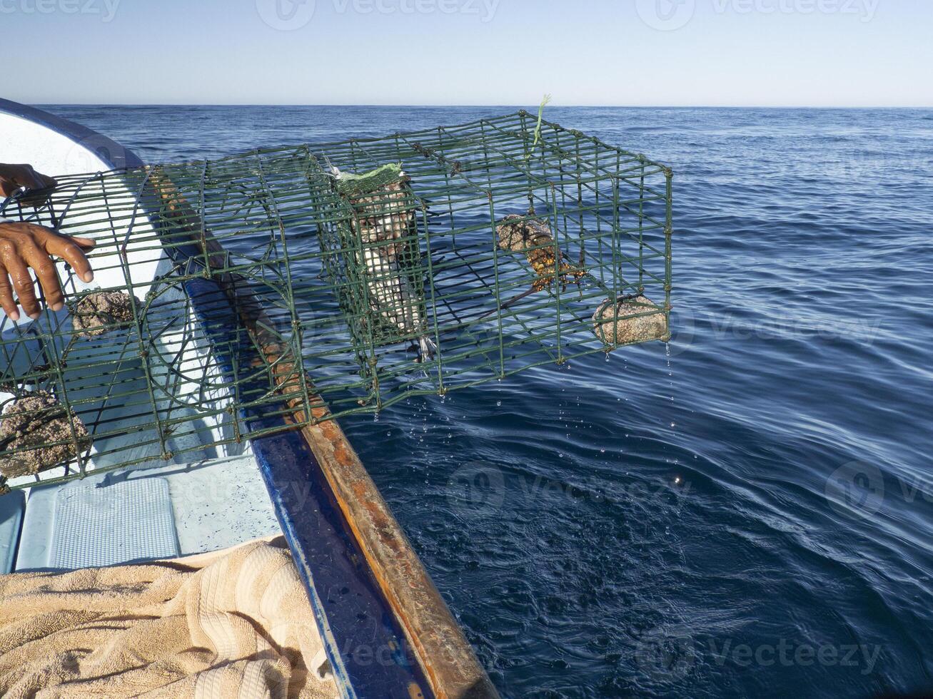 fishing with lobster pot in mexico photo