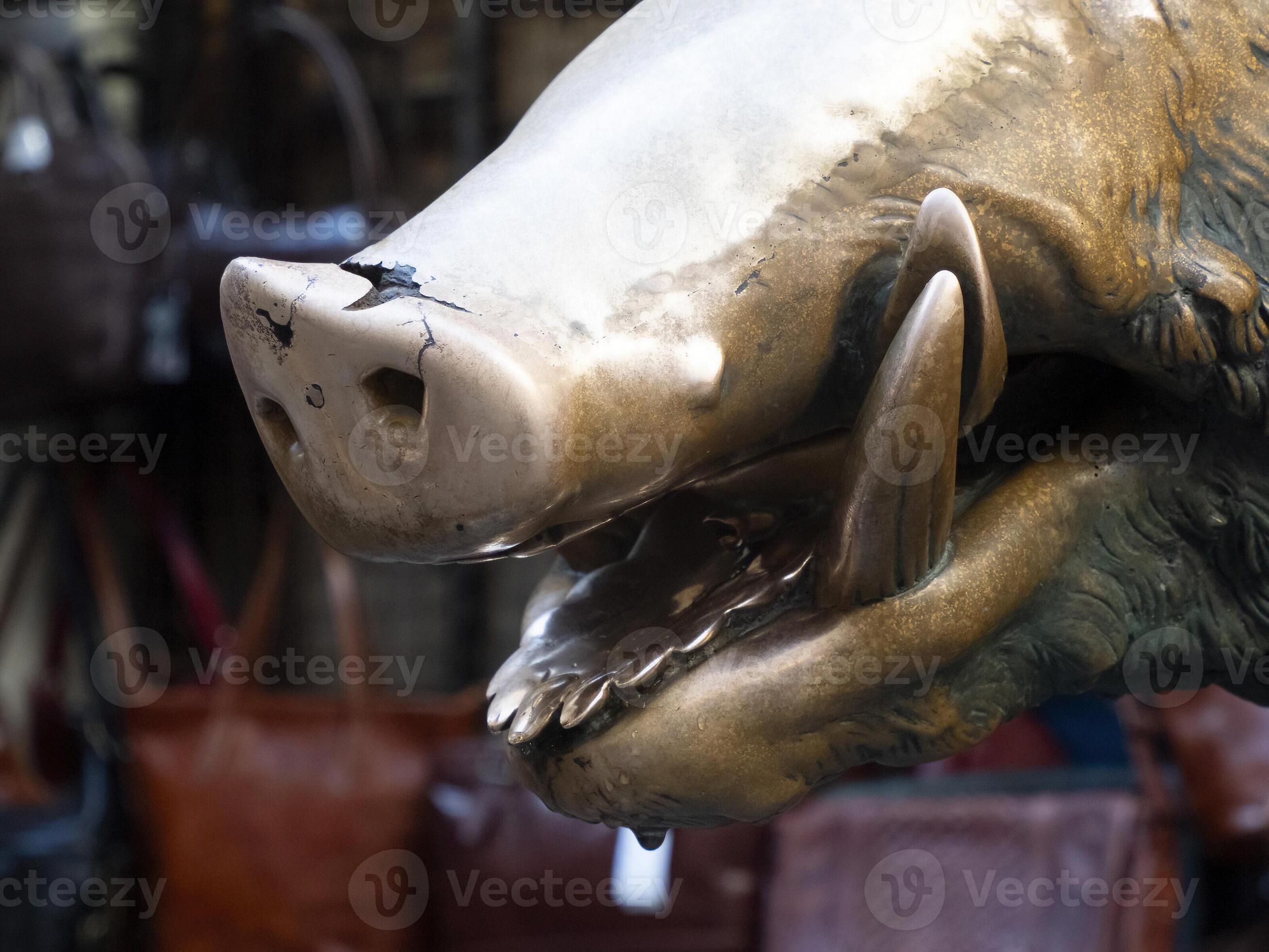 Detail of Hand touching good luck copper pig statue in Florence rite of