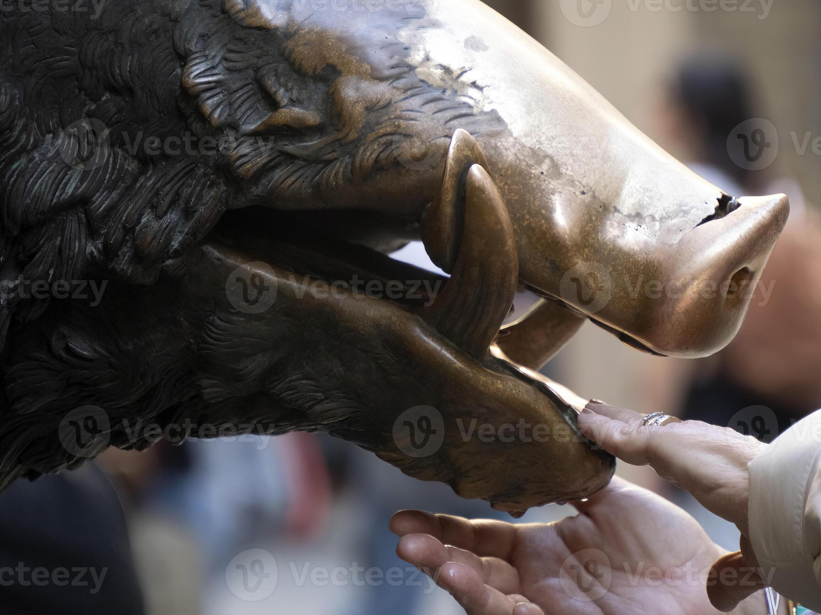 Detail of Hand touching good luck copper pig statue in Florence rite of