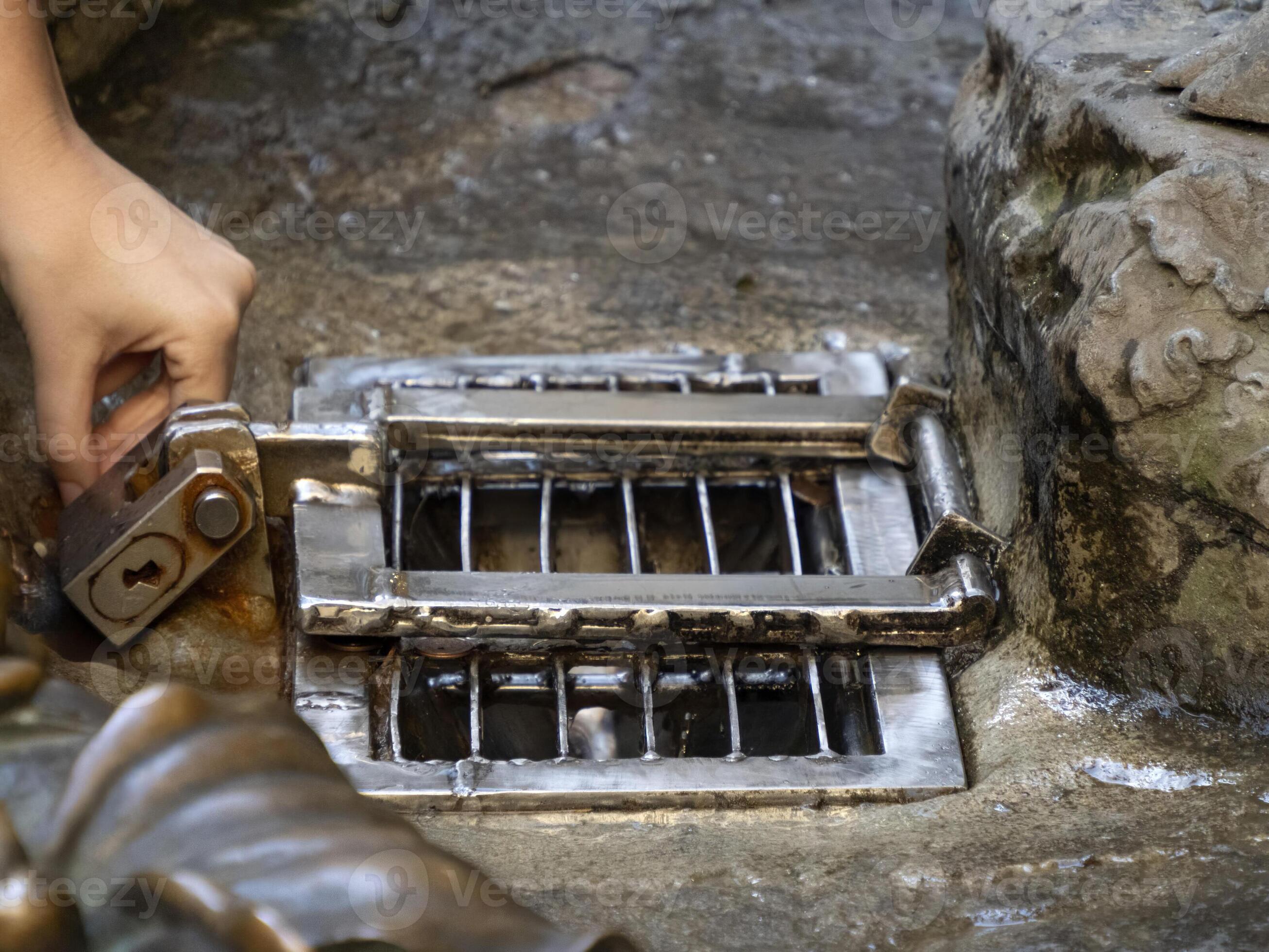 Detail of Hand touching good luck copper pig statue in Florence rite of