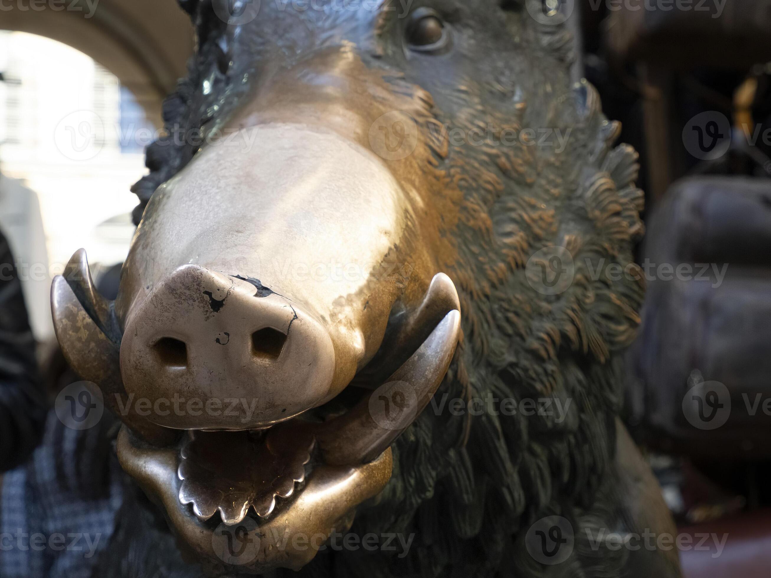 Detail of Hand touching good luck copper pig statue in Florence rite of