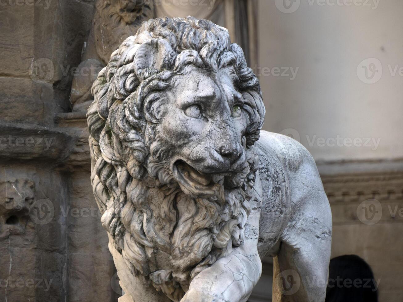 león signoria sitio florencia Italia estatua detalle foto