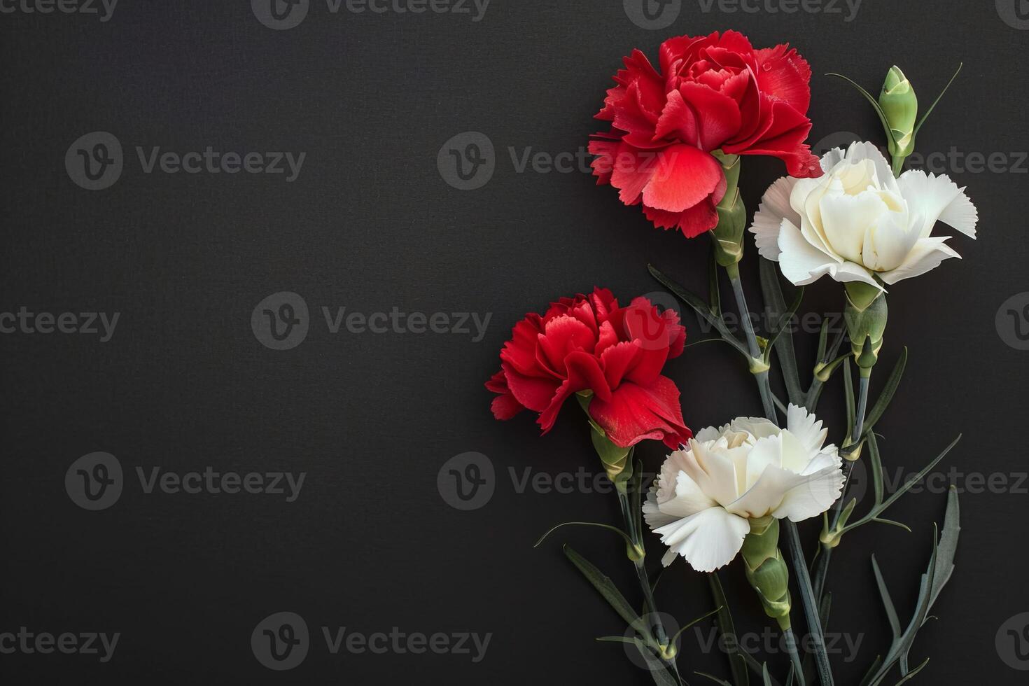 AI generated A stunning bouquet of red and white carnations against a black backdrop photo
