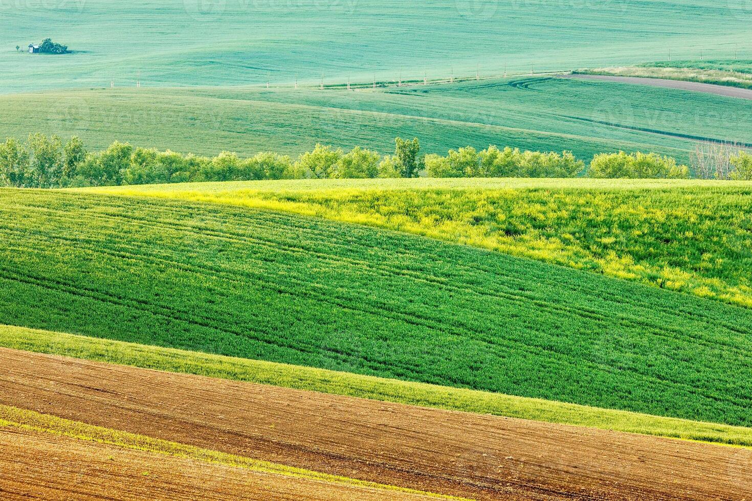 Moravian rolling landscape photo