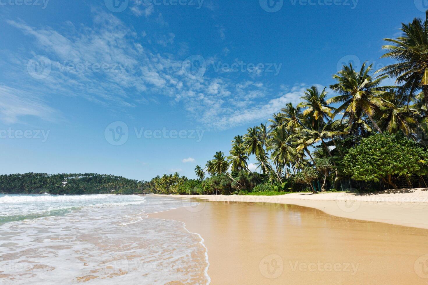 Idyllic beach. Sri Lanka photo