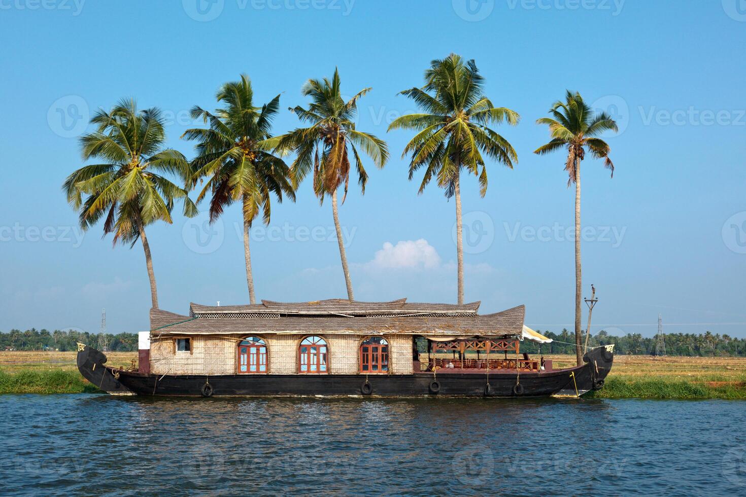 casa flotante en kerala remansos, India foto