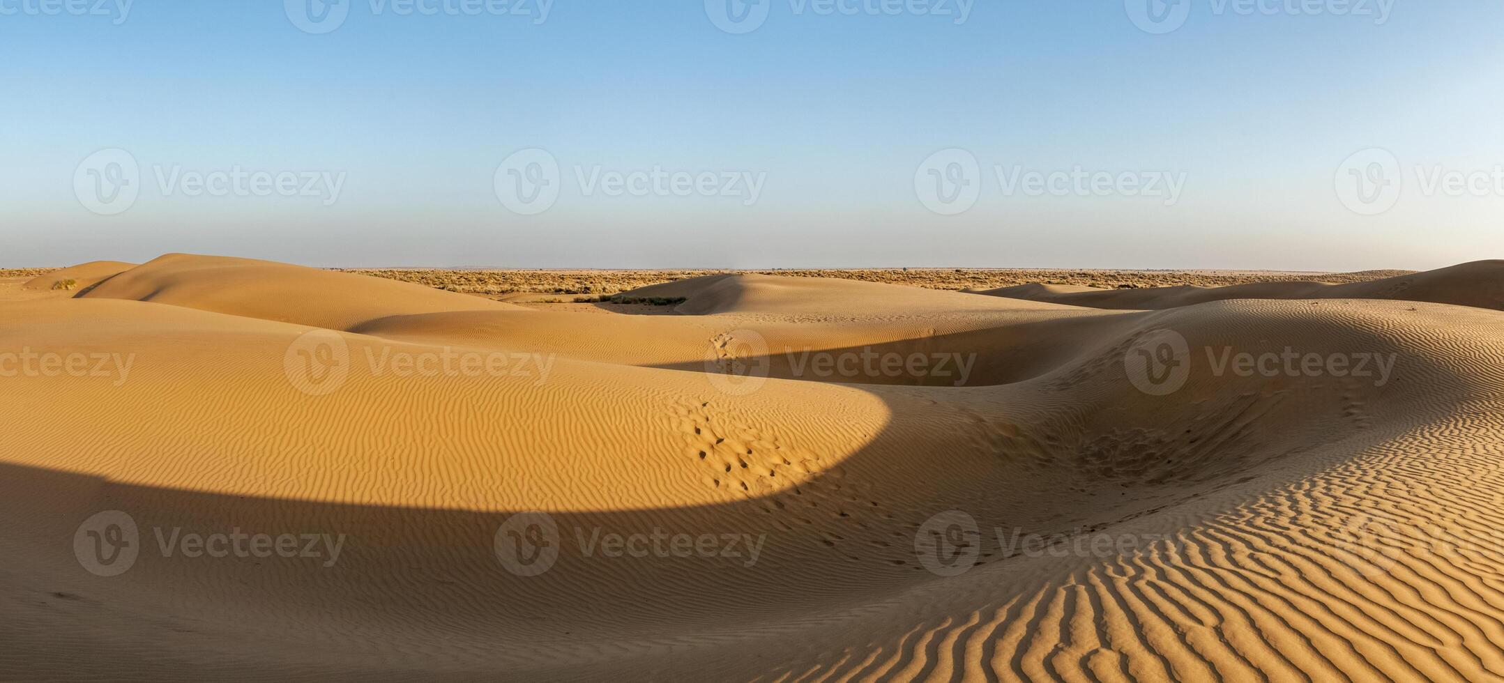 Panorama of dunes in Thar Desert, Rajasthan, India photo