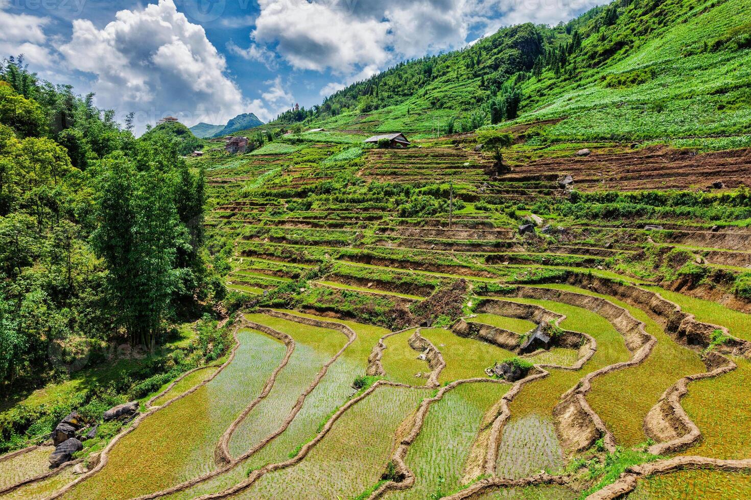 arroz campo gradas. cerca sapa, Vietnam foto