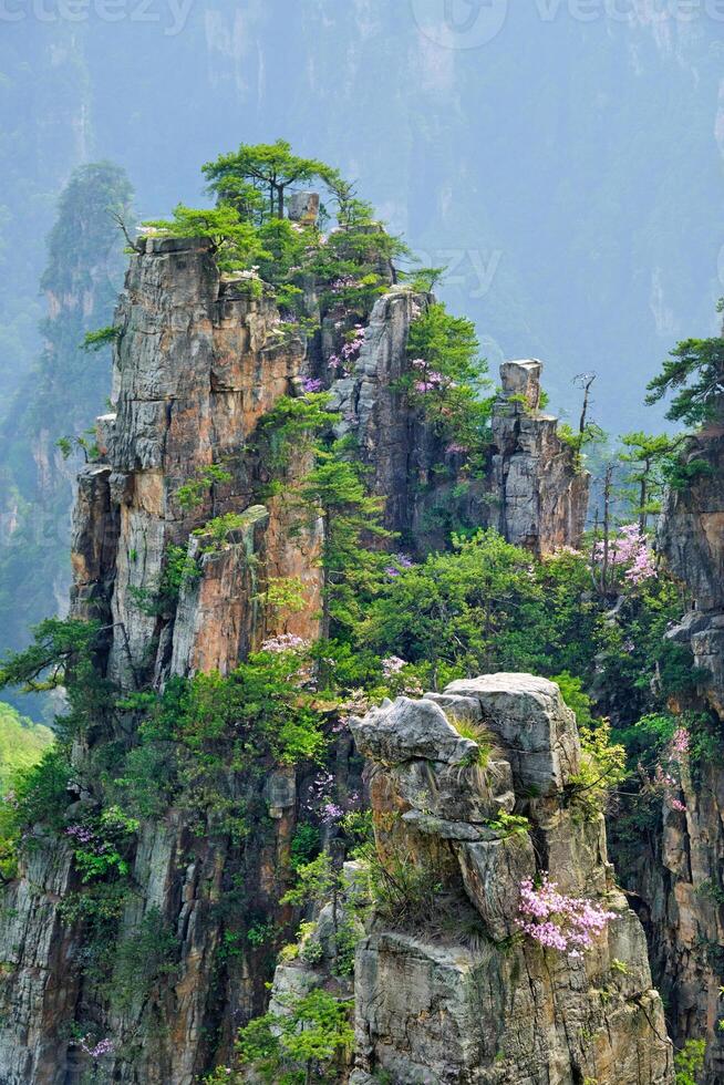 Zhangjiajie mountains, China photo