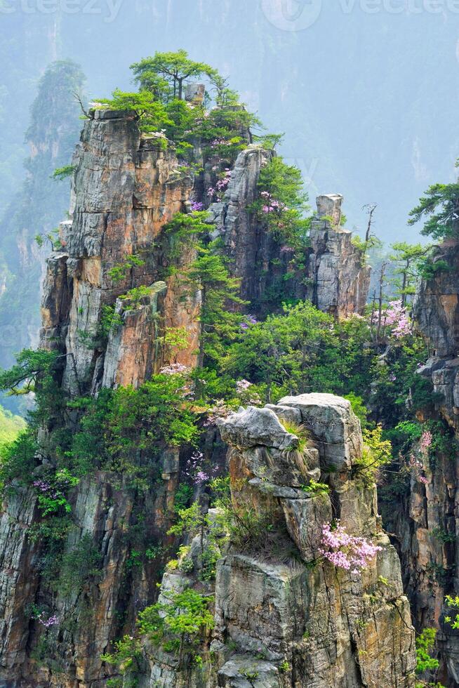 Zhangjiajie mountains, China photo