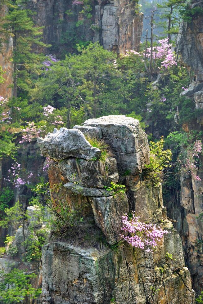 Zhangjiajie mountains, China photo