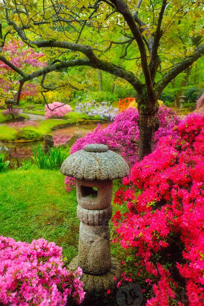 Japanese garden, Park Clingendael, The Hague, Netherlands photo