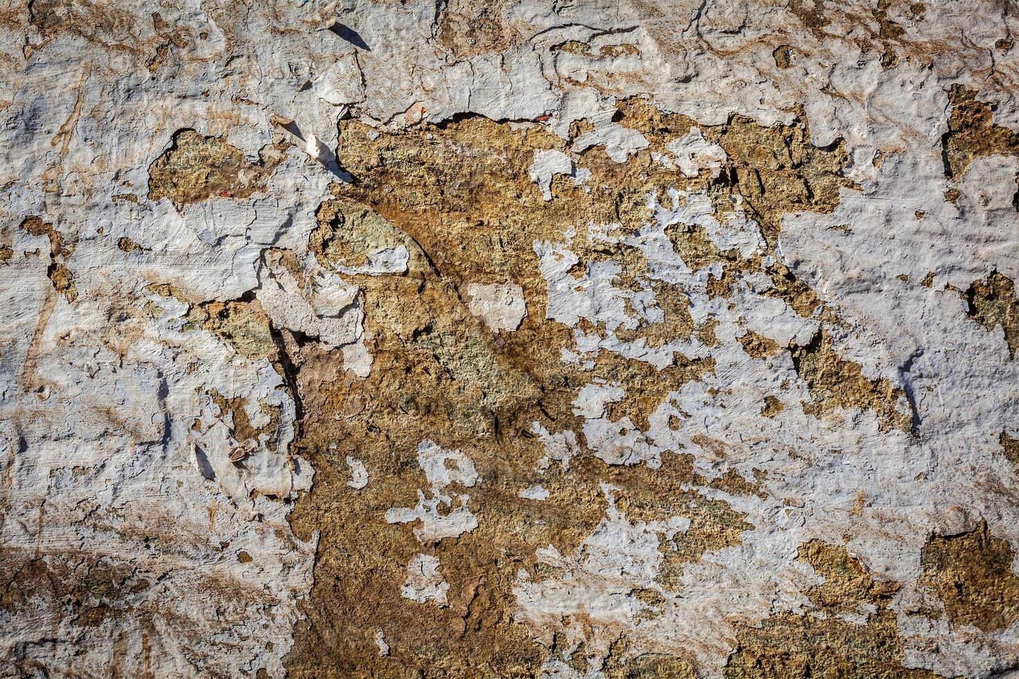 Painted plaster wall texture photo
