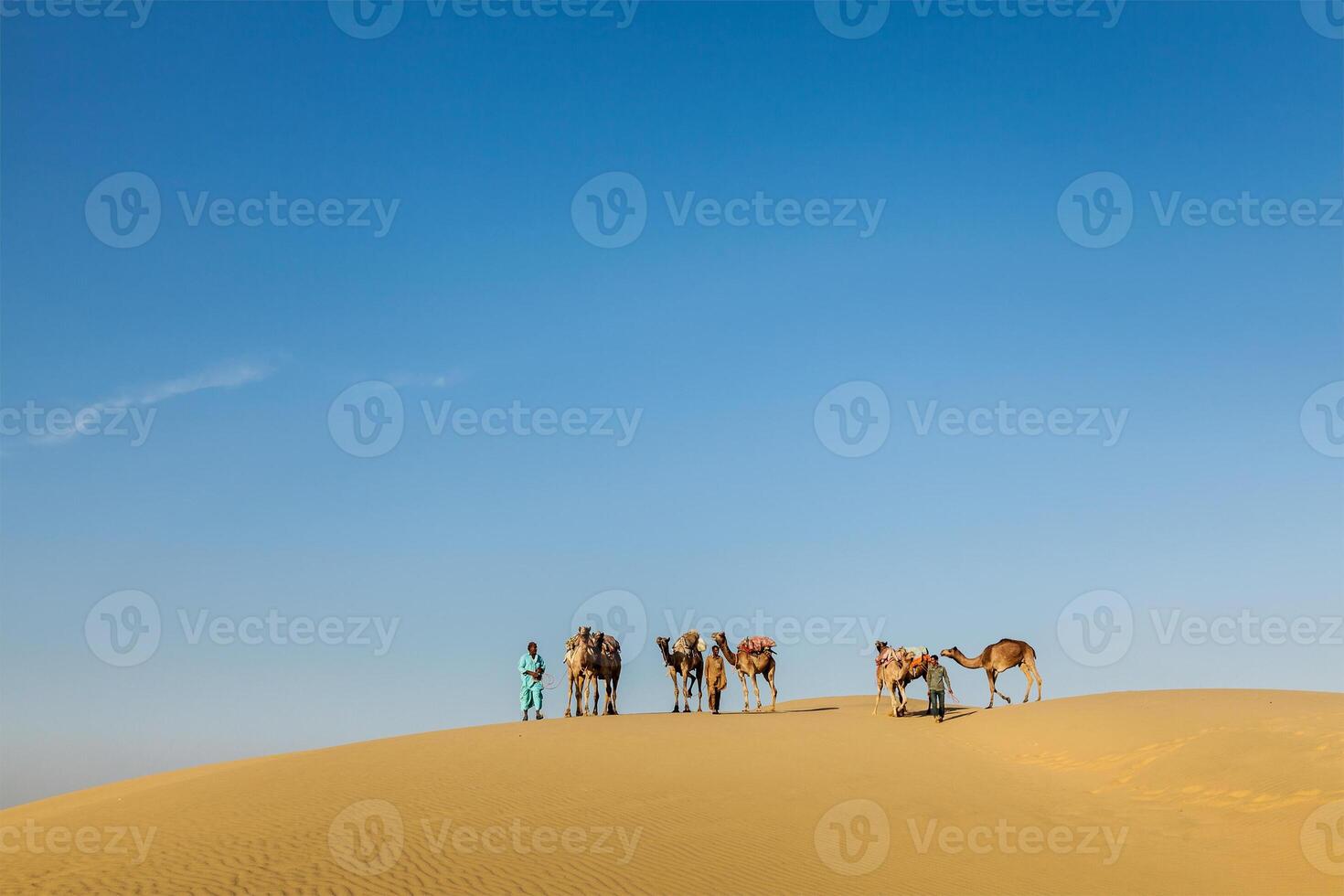 Three cameleers camel drivers with camels in dunes of Thar desert. Rajasthan, India photo