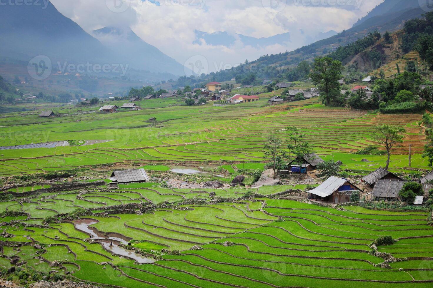 Rice field terraces photo