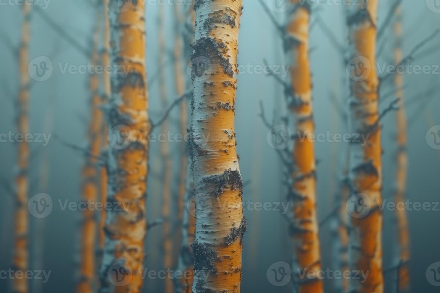 AI generated background with birch forest in the fog, early spring, nature photo