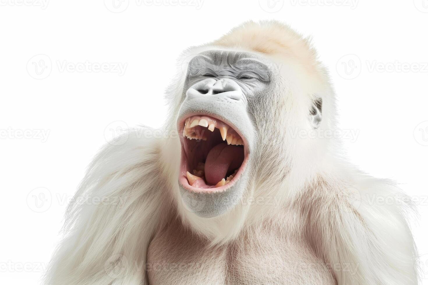 AI generated A white screaming monkey highlighted on a white background photo