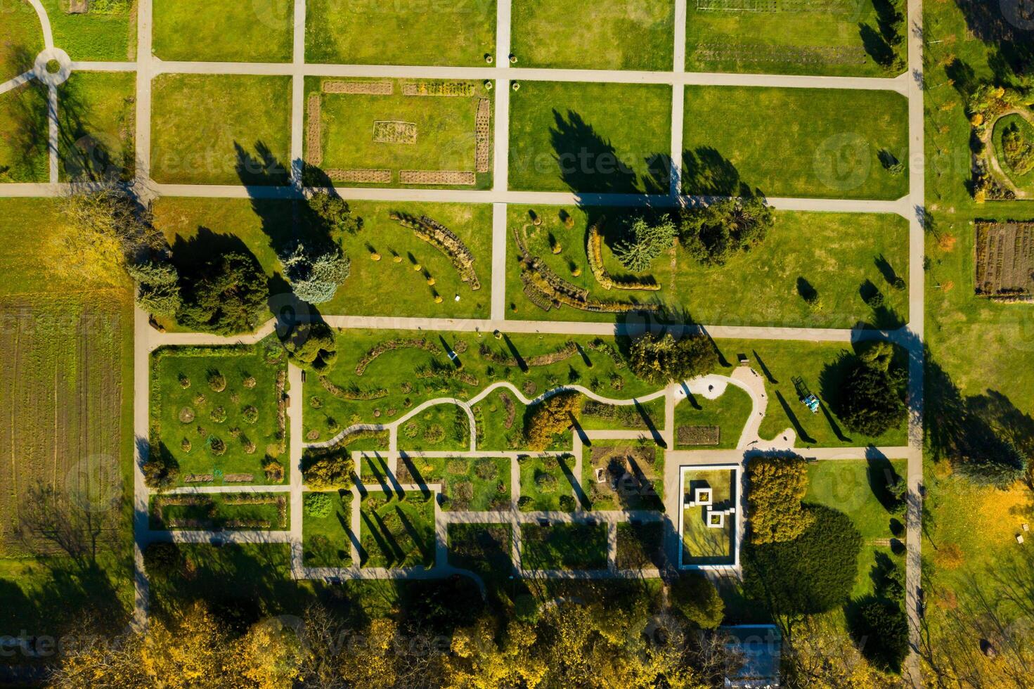 Top view of the autumn Minsk Botanical Garden. Belarus photo