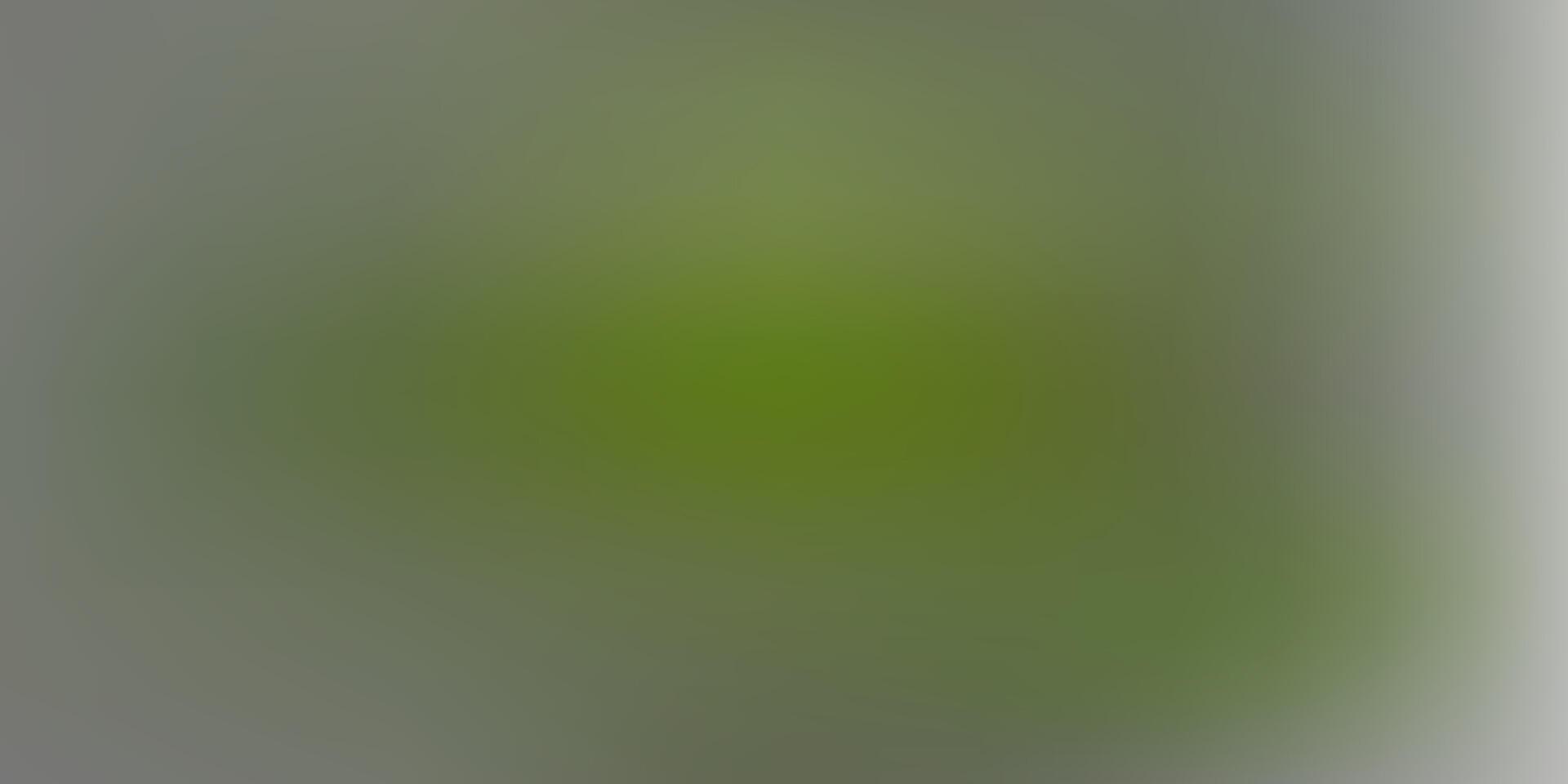 Light green vector abstract blur texture.