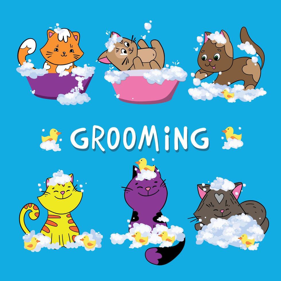 The Cute cat in a bubbles bath in a flat style. Grooming. Pet care illustration for content, label, banner, graphic and greeting card vector