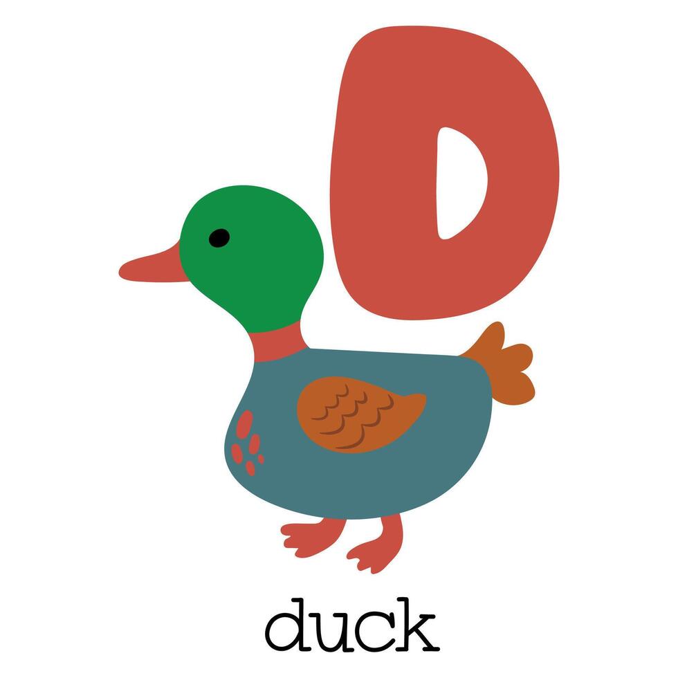 Educational illustration of letter D from alphabet. vector