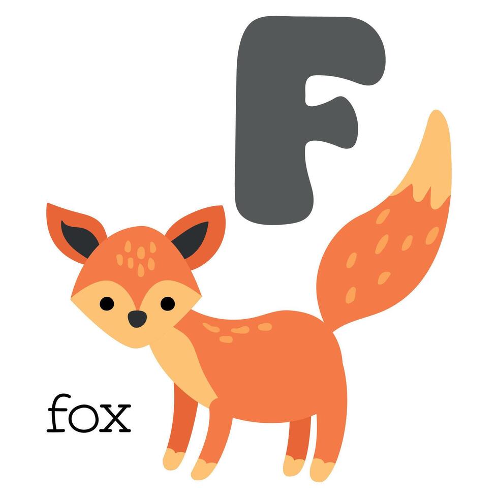 Educational illustration of letter F from alphabet. vector