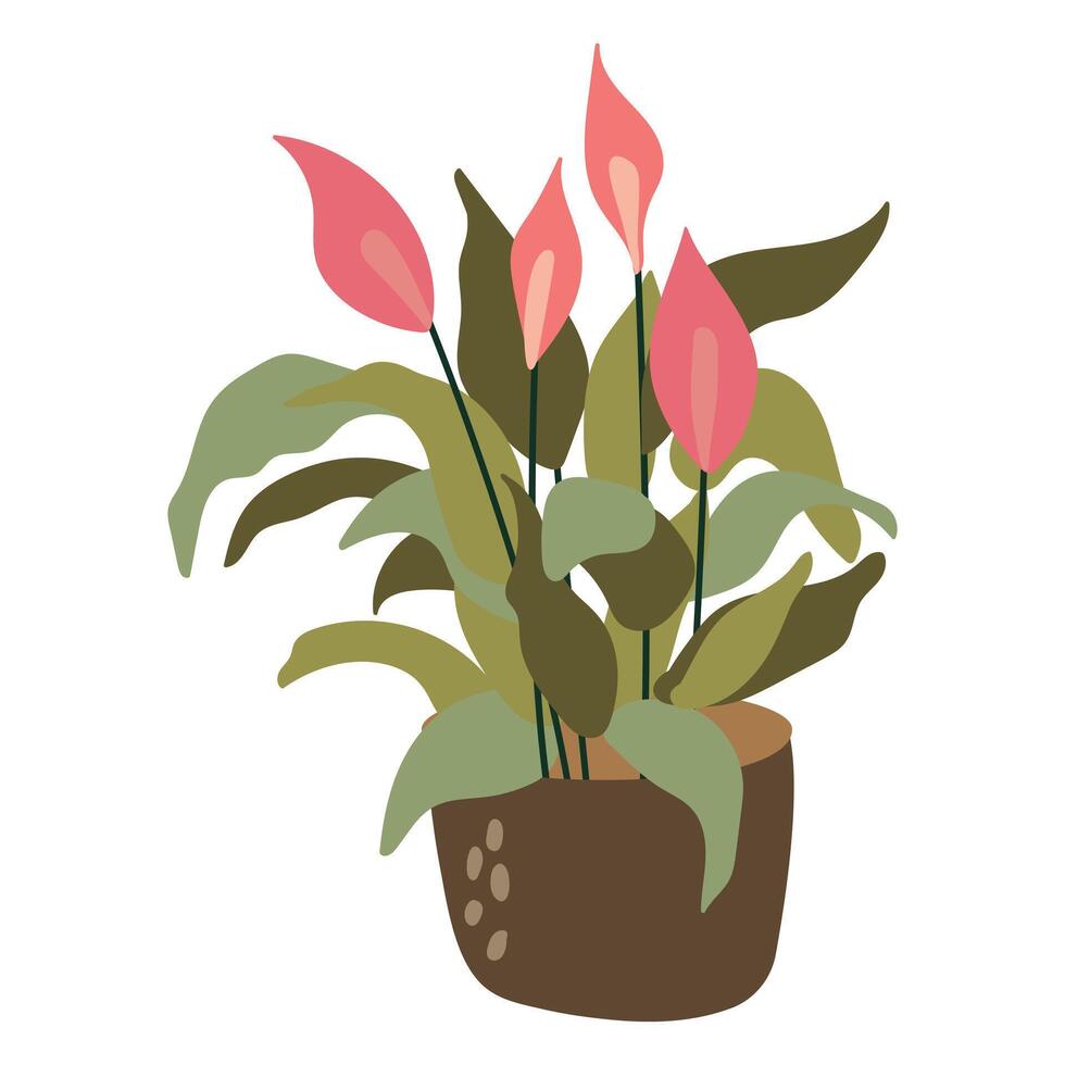 Hand-drawn houseplant.  White background, isolate. vector