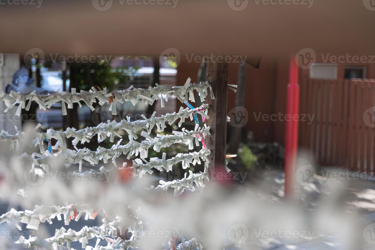 A fortune telling slip at Tomioka Shrine closeup photo