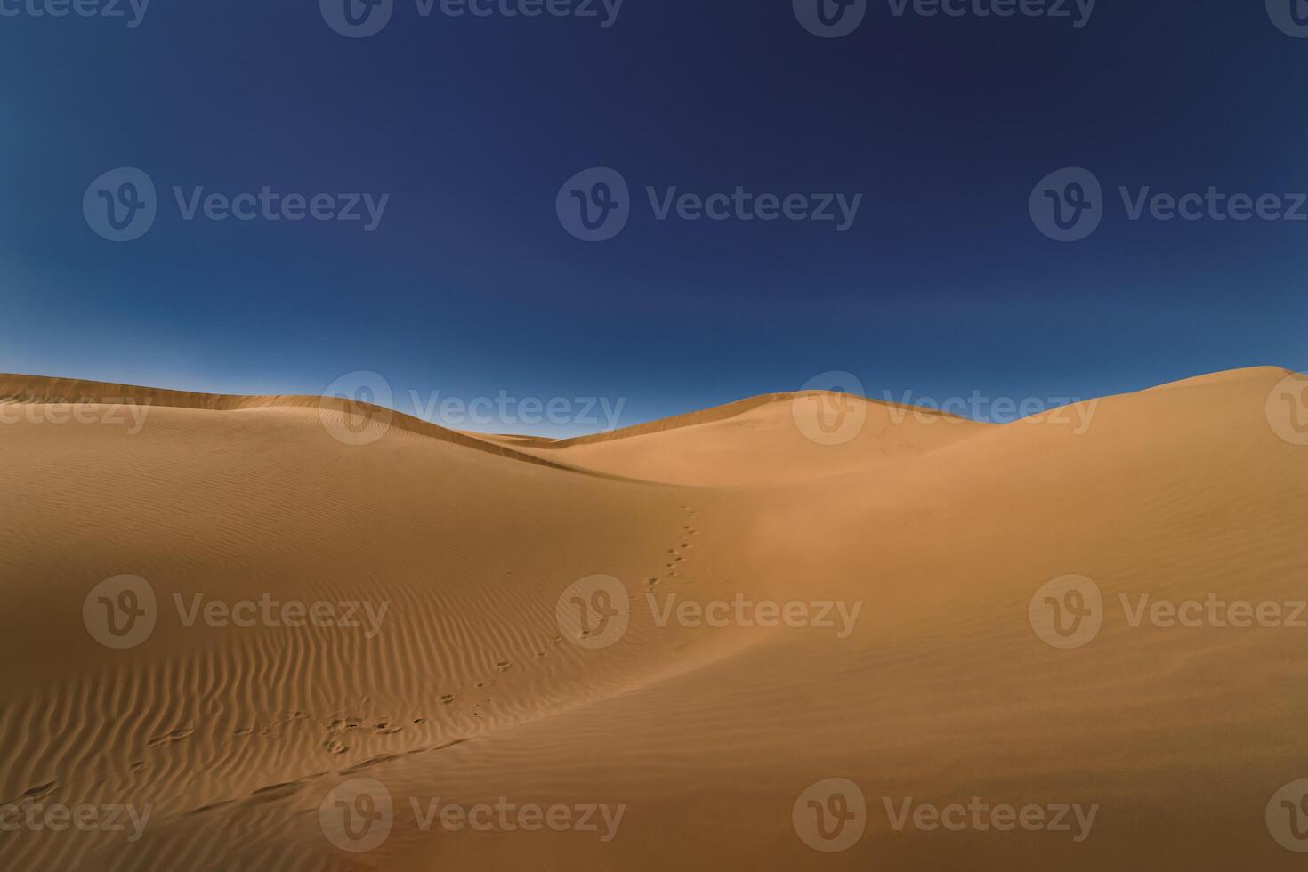A panoramic sand dune of sahara desert at Mhamid el Ghizlane in Morocco wide shot photo