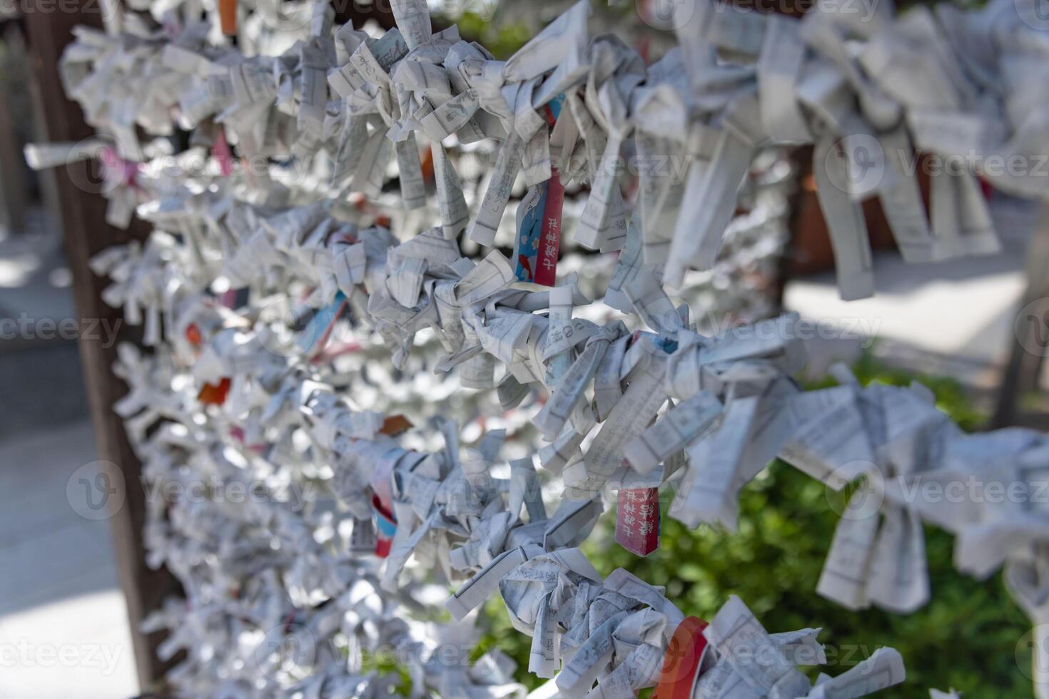 A fortune telling slip at Tomioka Shrine closeup photo