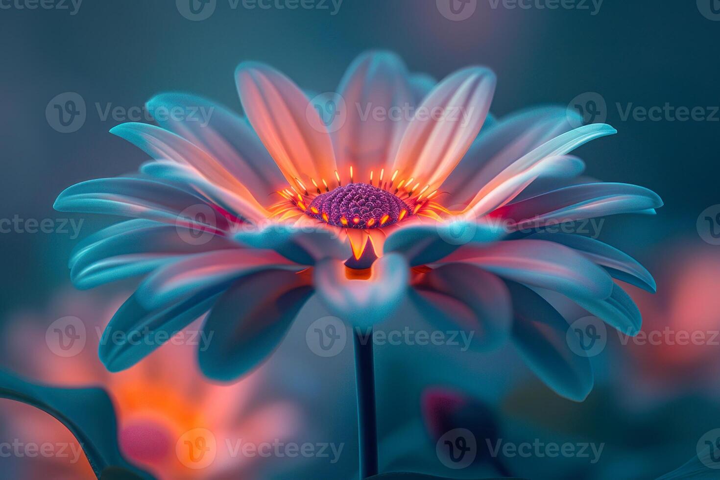 Glow Flower Stock Photos, Images and Backgrounds for Free Download