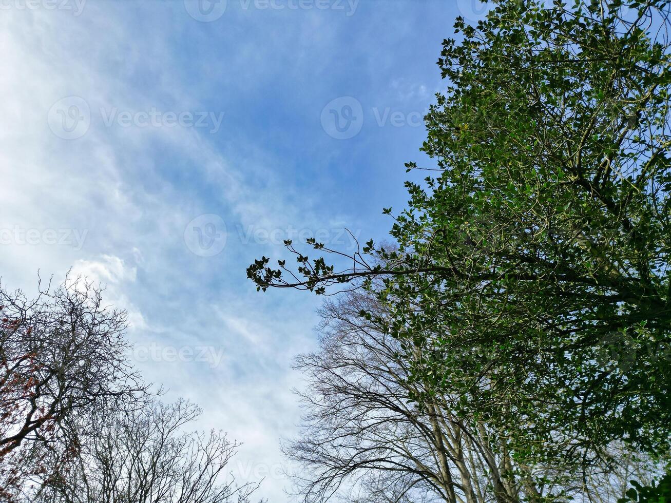 Most Beautiful View of Sky and Clouds over Oxford City of England United Kingdom photo