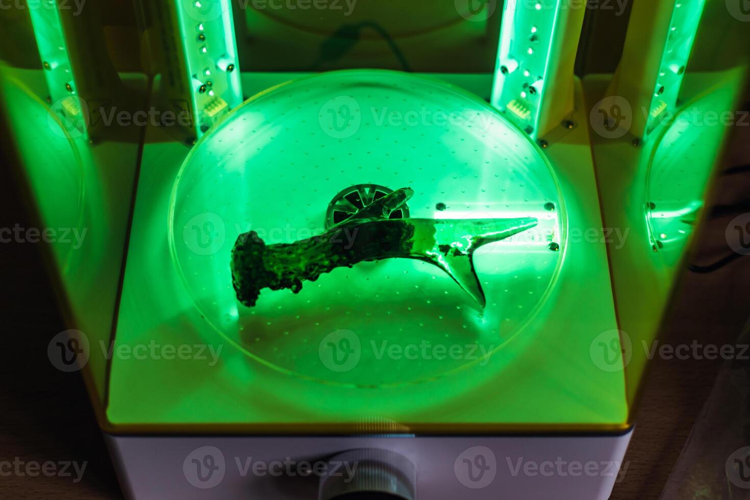 3d resin printing of a deer antler turning in a cure machine using UV light photo