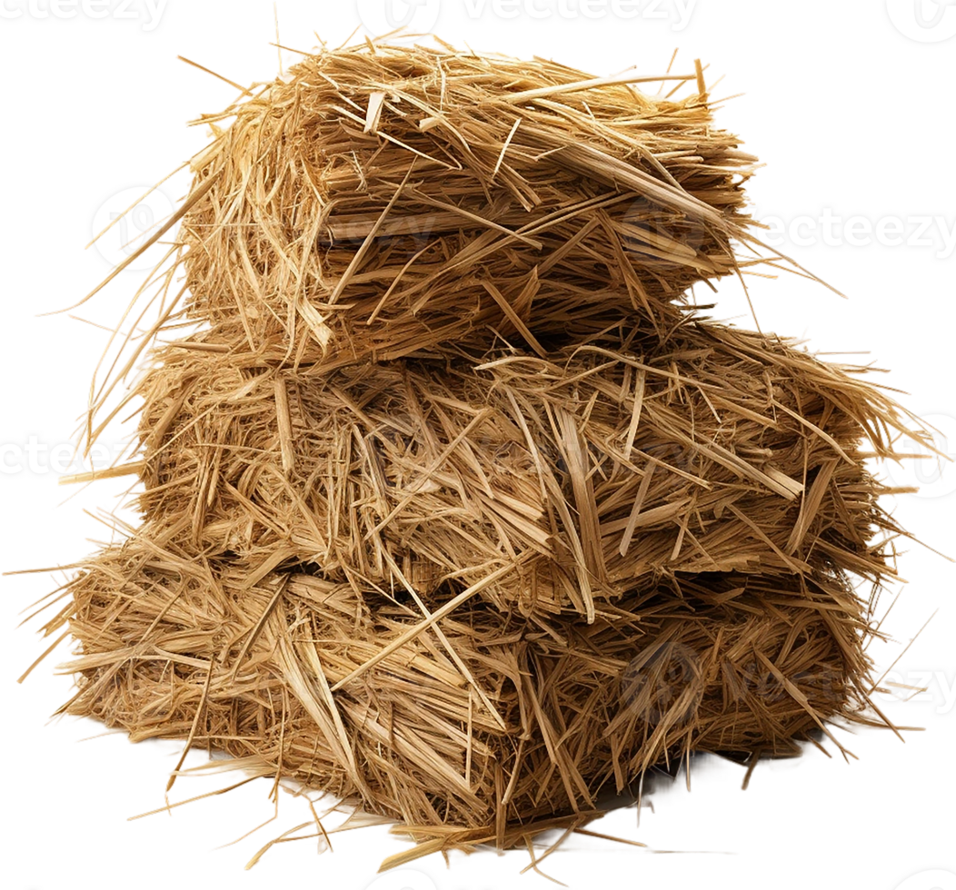 AI generated Professional image of haystack png