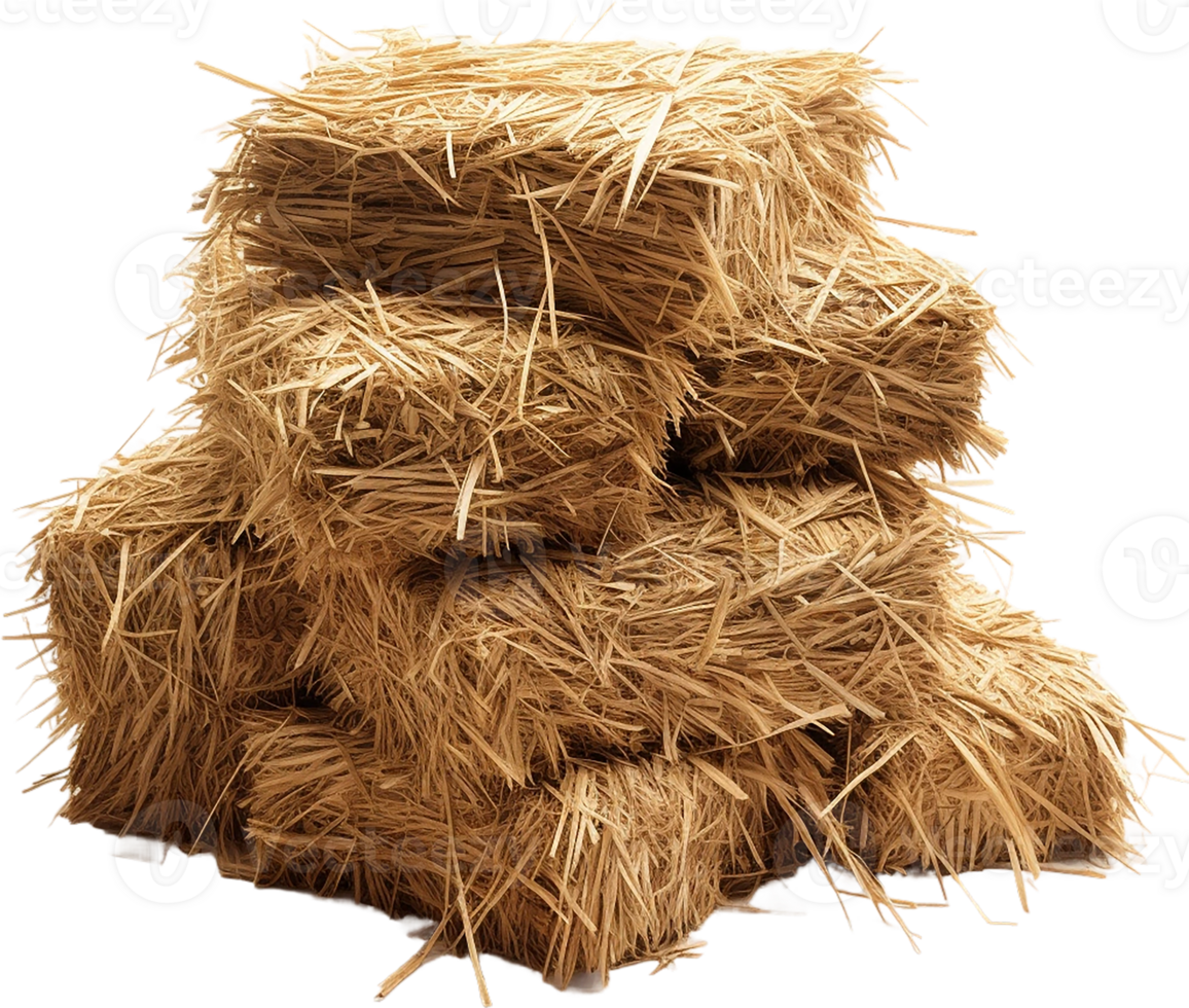 AI generated Professional image of haystack png