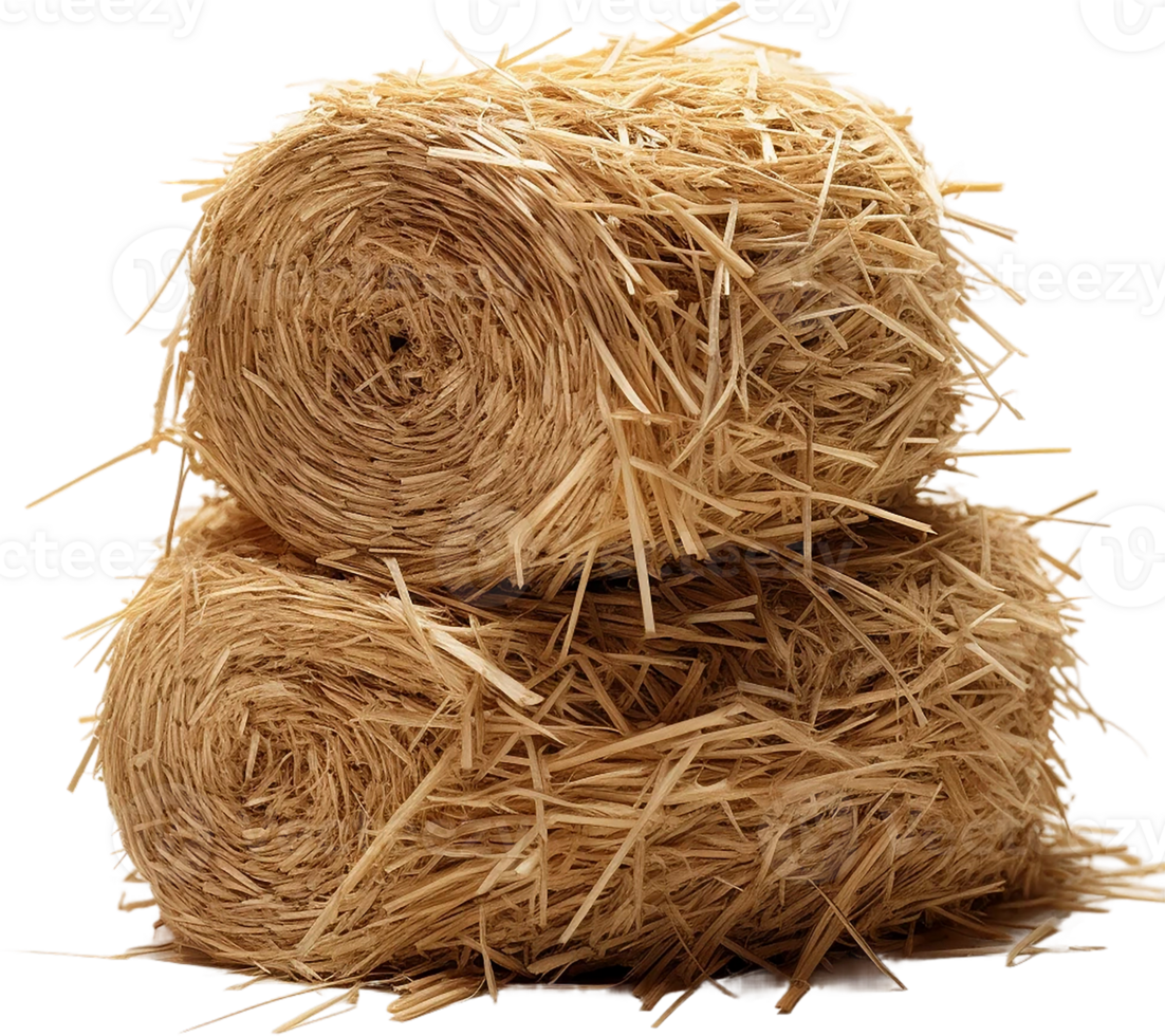 AI generated Professional image of haystack png