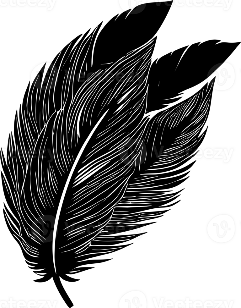 simple black outline drawing of three bird feathers, isolated element png