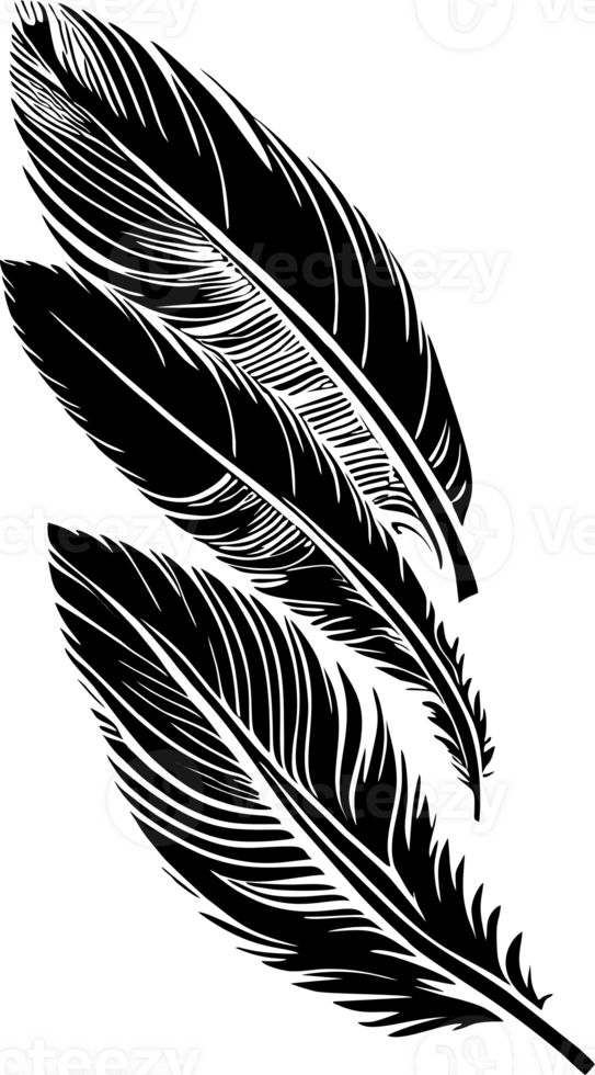 simple black outline drawing of three bird feathers, isolated element png